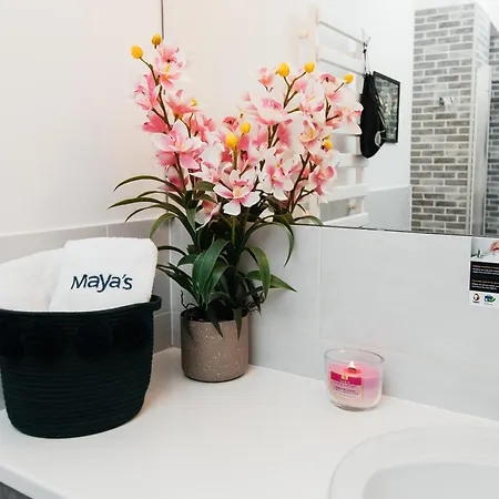 Maya's Flats & 69 - 3 In G Appartement Gdańsk